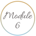module-6